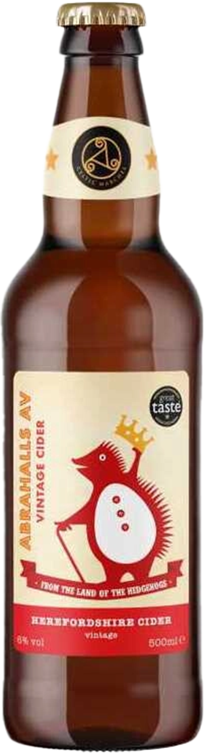 beer illustration