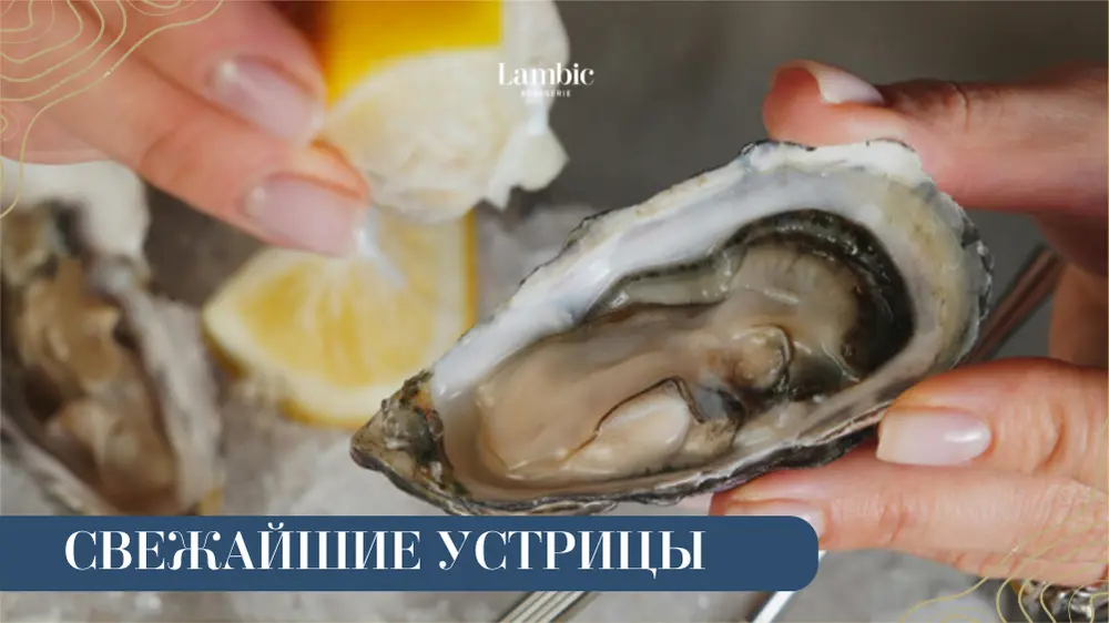 Море стало ближе: Устричное меню в Brasserie Lambic