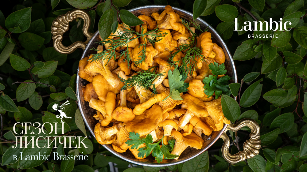 Chanterelle Season