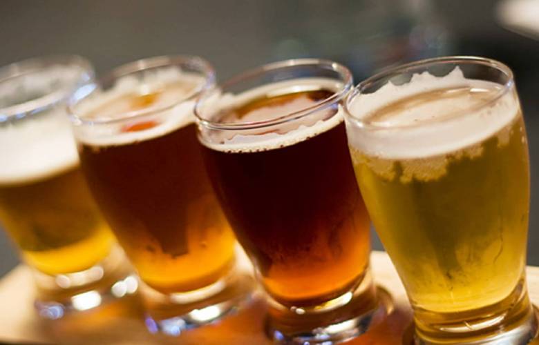 What is the difference between lager and ale: let's understand the nuances